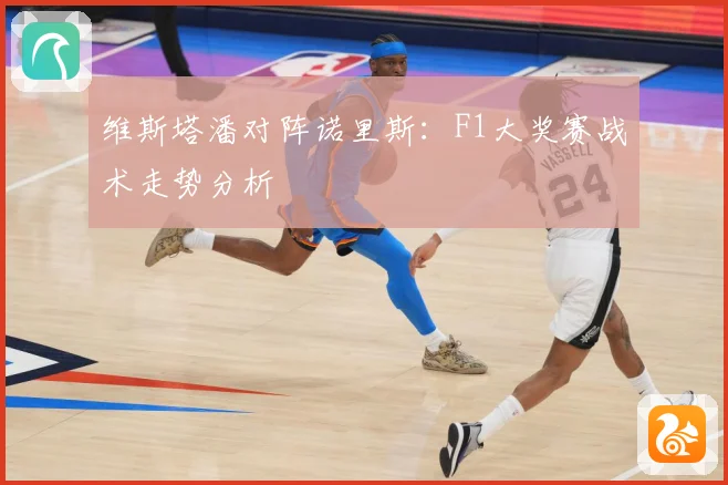维斯塔潘对阵诺里斯：F1大奖赛战术走势分析