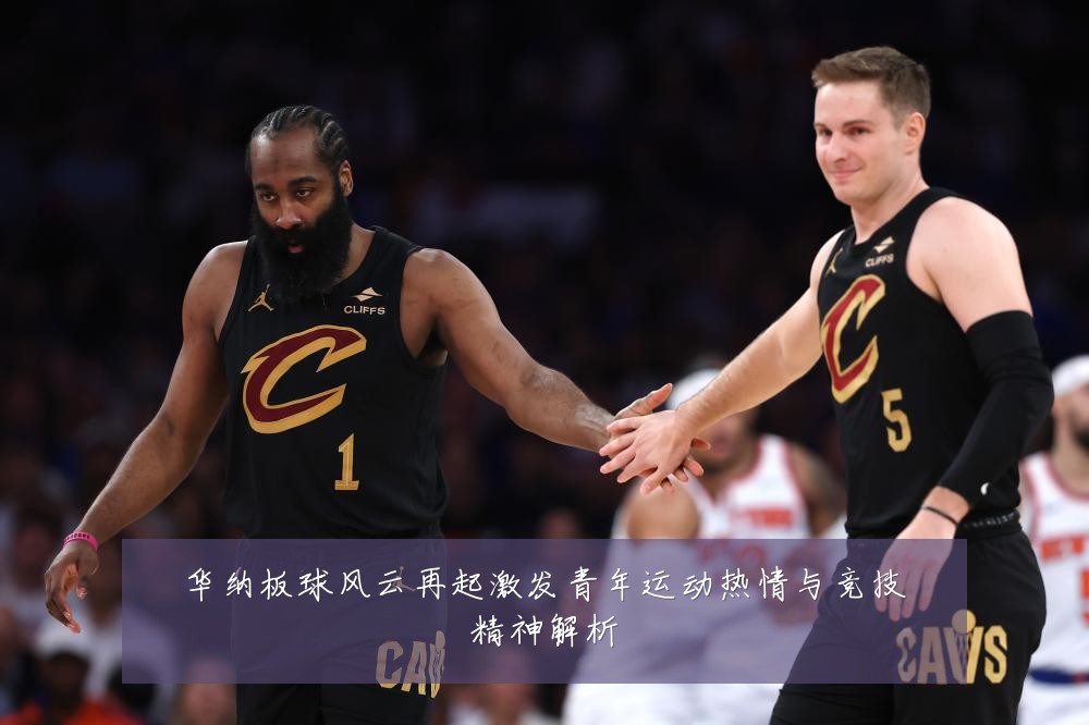 华纳板球风云再起激发青年运动热情与竞技精神解析