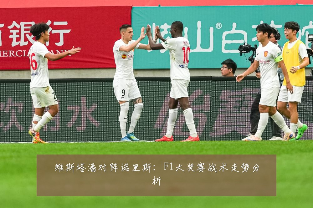 维斯塔潘对阵诺里斯：F1大奖赛战术走势分析