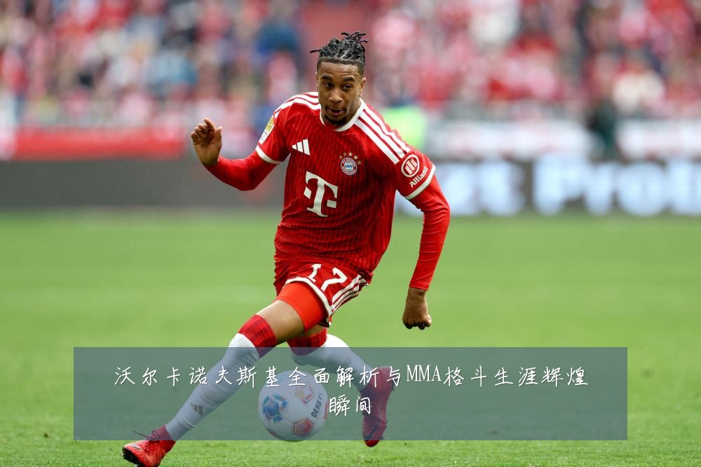 沃尔卡诺夫斯基全面解析与MMA格斗生涯辉煌瞬间